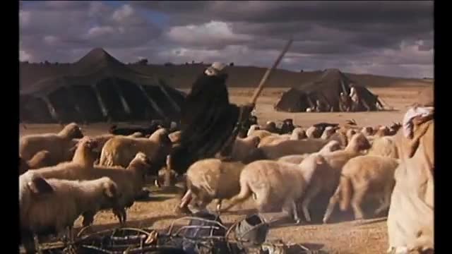 Biblické příběhy: Genesis 1994 mp4