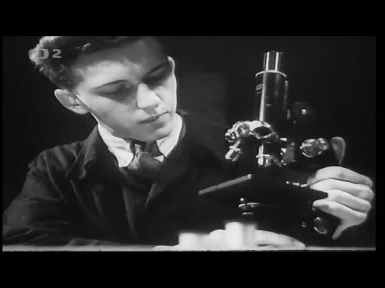 Hledání ztraceného času Jak se co dela 12 mp4