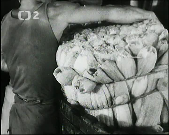 Hledání ztraceného času Jak se co dela 06 mp4