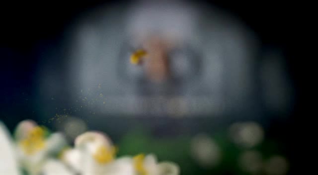 Posel ztracenych dusi 04x17 Delusion of Granview avi