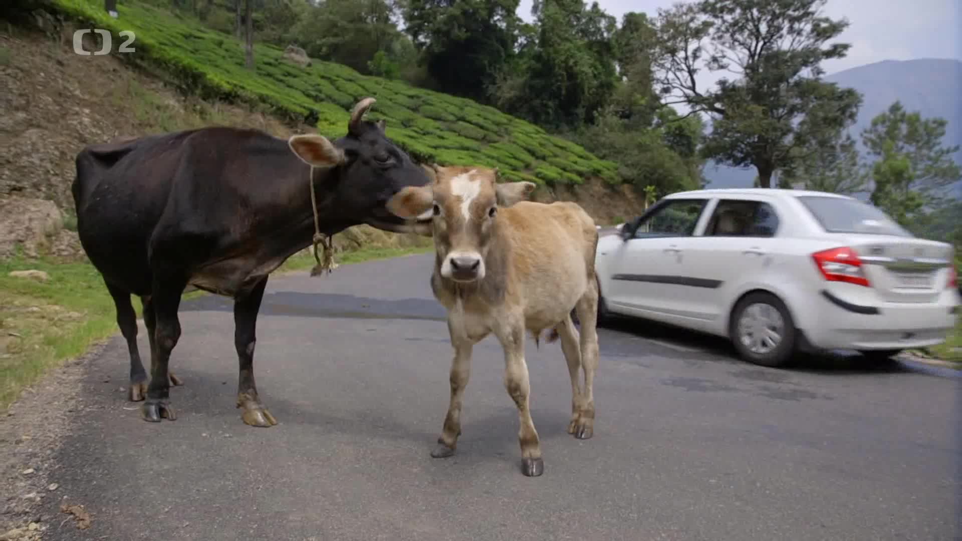 04 Trabantem z Indie az domu E04 Bohové, sex a bolavý zadek mp4
