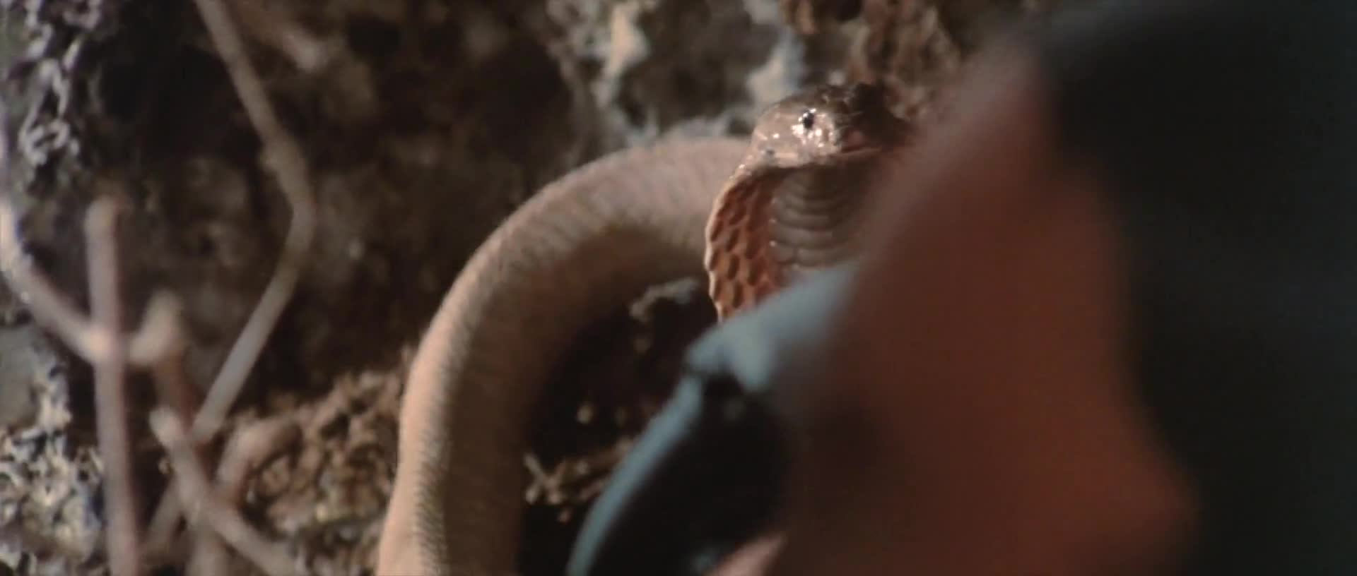 Tornado A Missão Continua (1983) Dual Áudio 1080p Bluray x264.mkv