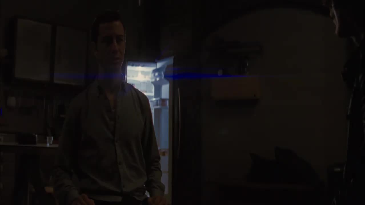 Looper Nájemný zabiják (Joseph Gordon Levitt,Bruce Willis,Emily Blunt 2012 Scifi akční krimi thriller Bdrip 1080p ) Cz dabing mp4