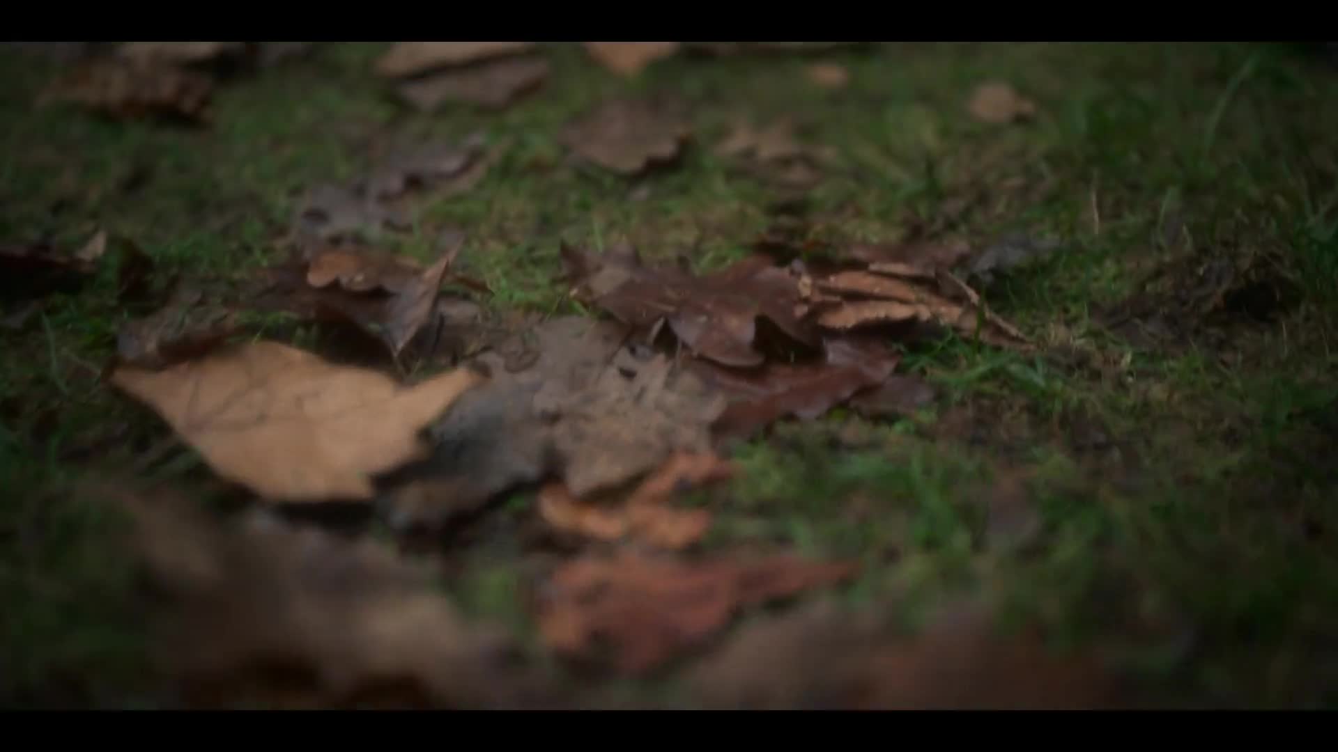The Haunting Záhadné sídlo S02E06 Veselé nároží (2020) horor czdab mkv