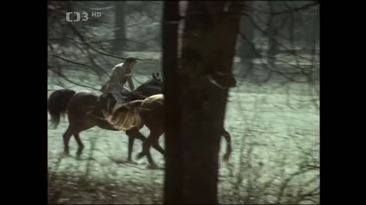 Dva bratři (Jana Brejchová,Jaroslav Satoranský,Jan Tříska 1972 Drama Bdrip 1080p ) Cz dabing mp4