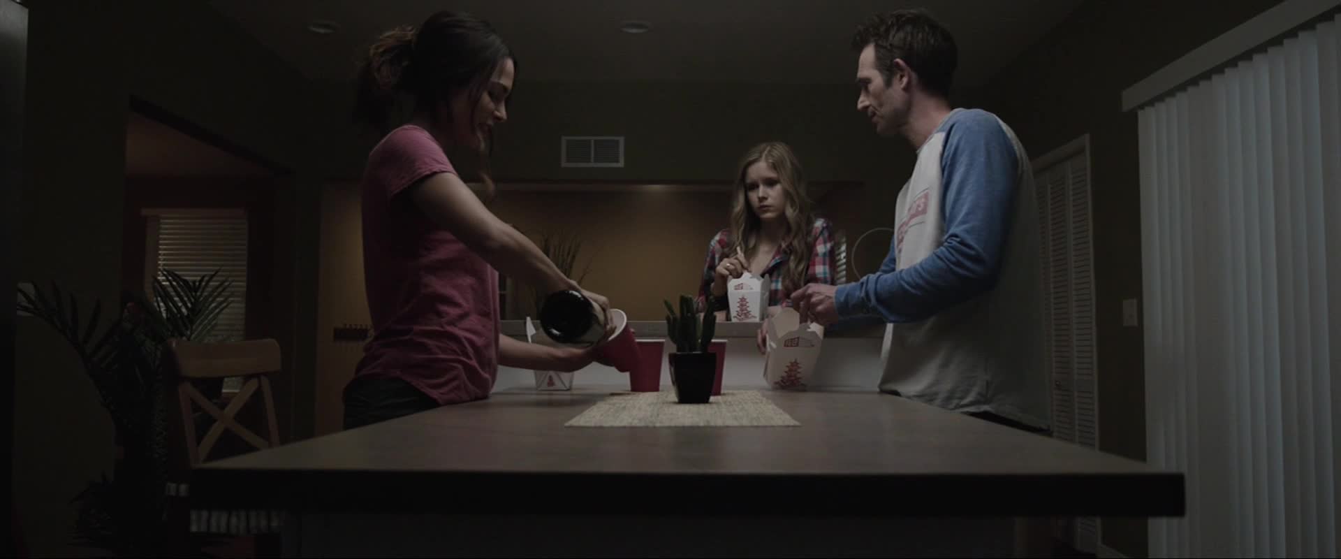 V domě (Erin Moriarty,Michael Vartan,Nadine Velazquez 2016 Horor Thriller Bdrip 1080p ) Cz dabing mkv