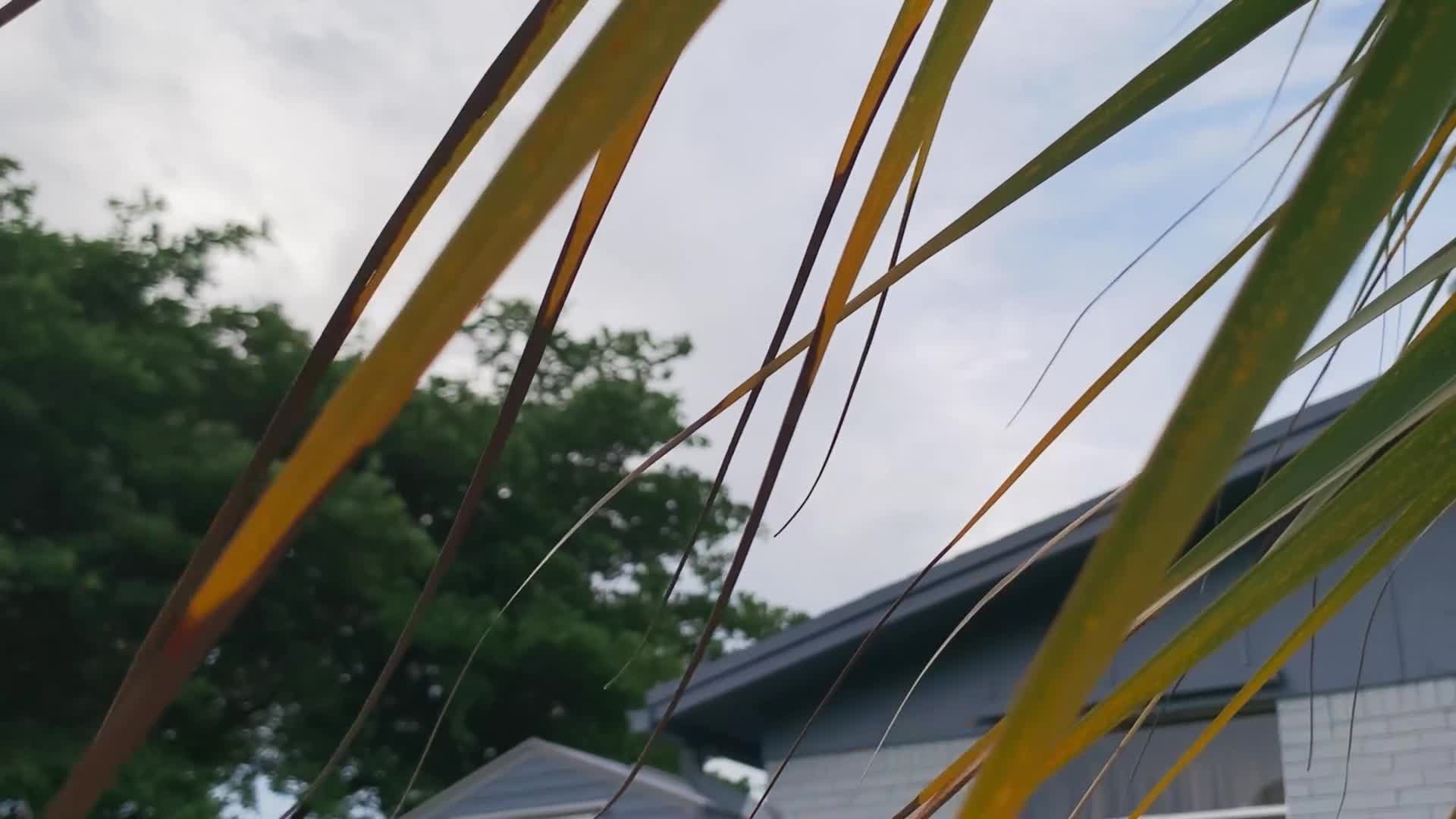 Dokonalá sousedka {2025} dokumentární, krimi AAC 5 1 1080p CZ dabing mkv