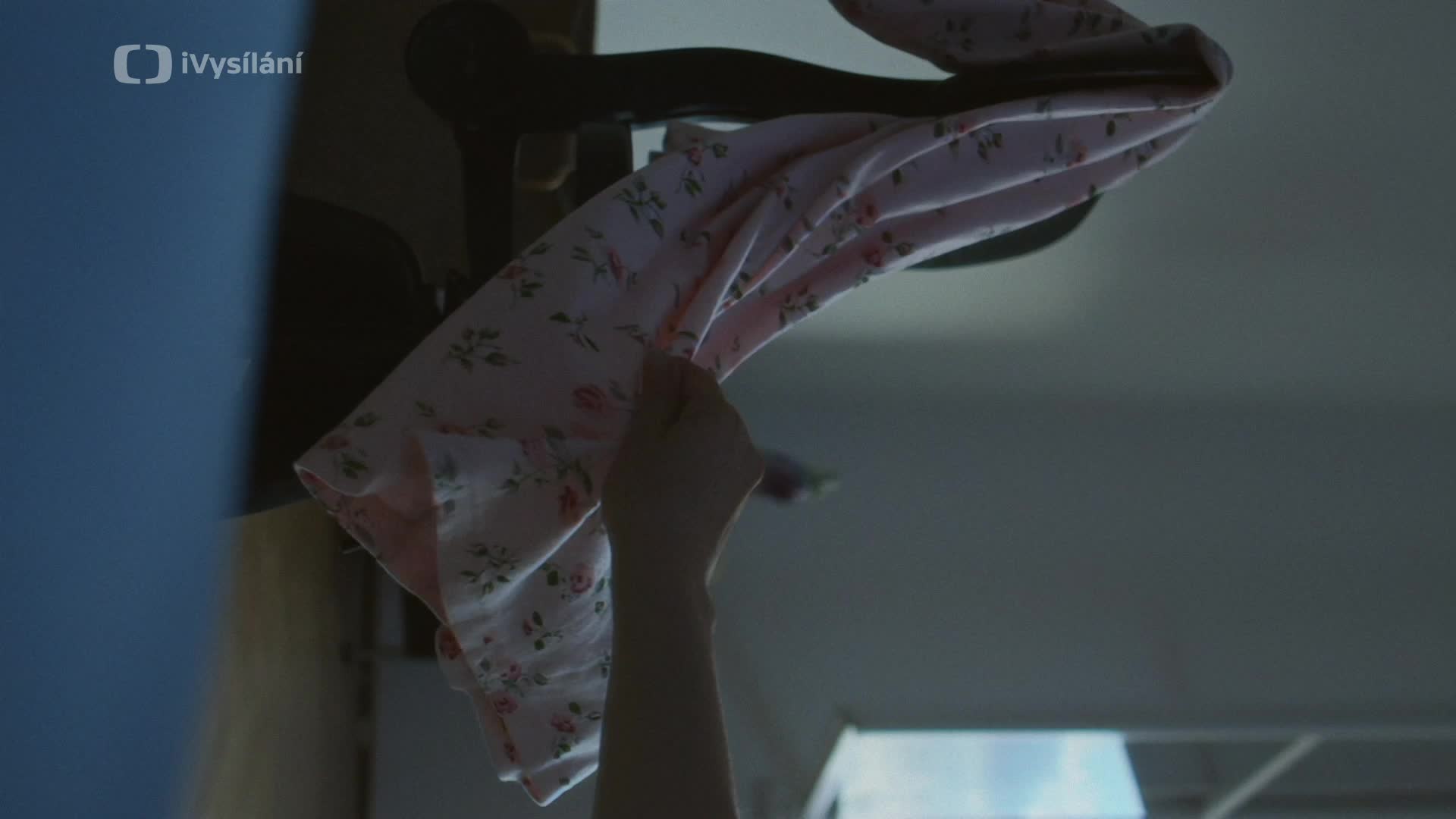 Stínu neutečeš 2009 CZ drama HD mp4