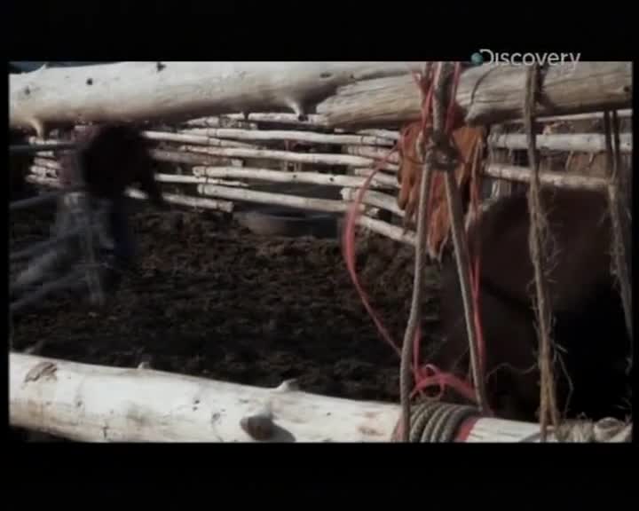 Aljaska posledni divocina 022 SD 03x11 Aljaska proziva svatecni dny mkv