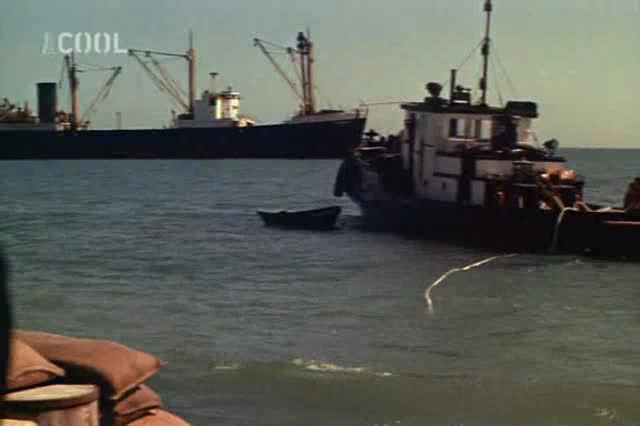 Na sever Aljašky =1960 West, CZ avi