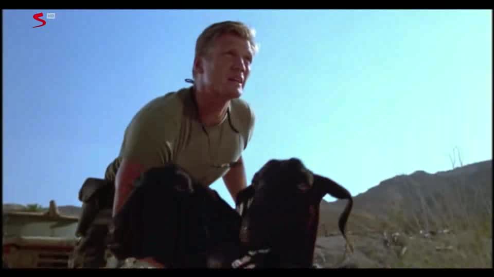 Poslední hlídka (Dolph Lundgren, Sherri Alexander, Joe Michael Burke 2000 Akční Drama Thriller Bdrip 1080p ) Cz dabing avi