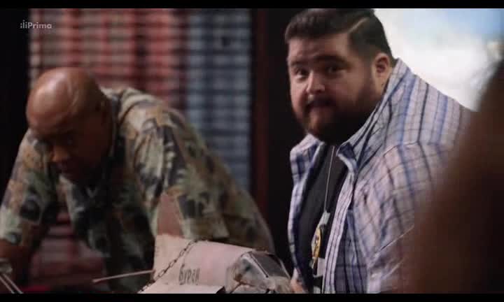 Hawaii 5 0 S09E15 Vězeň v dešti cz dab mp4