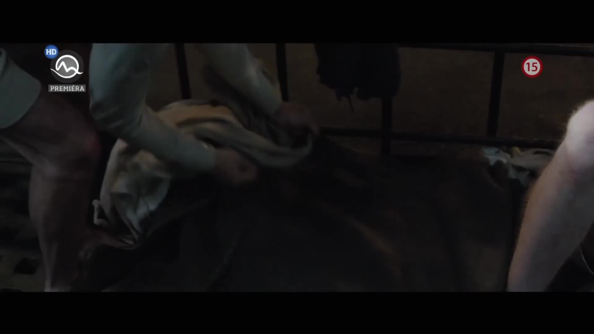 Motylek Papillon 2017 SK dabing 3 57 GB online ke zhlédnutí mp4