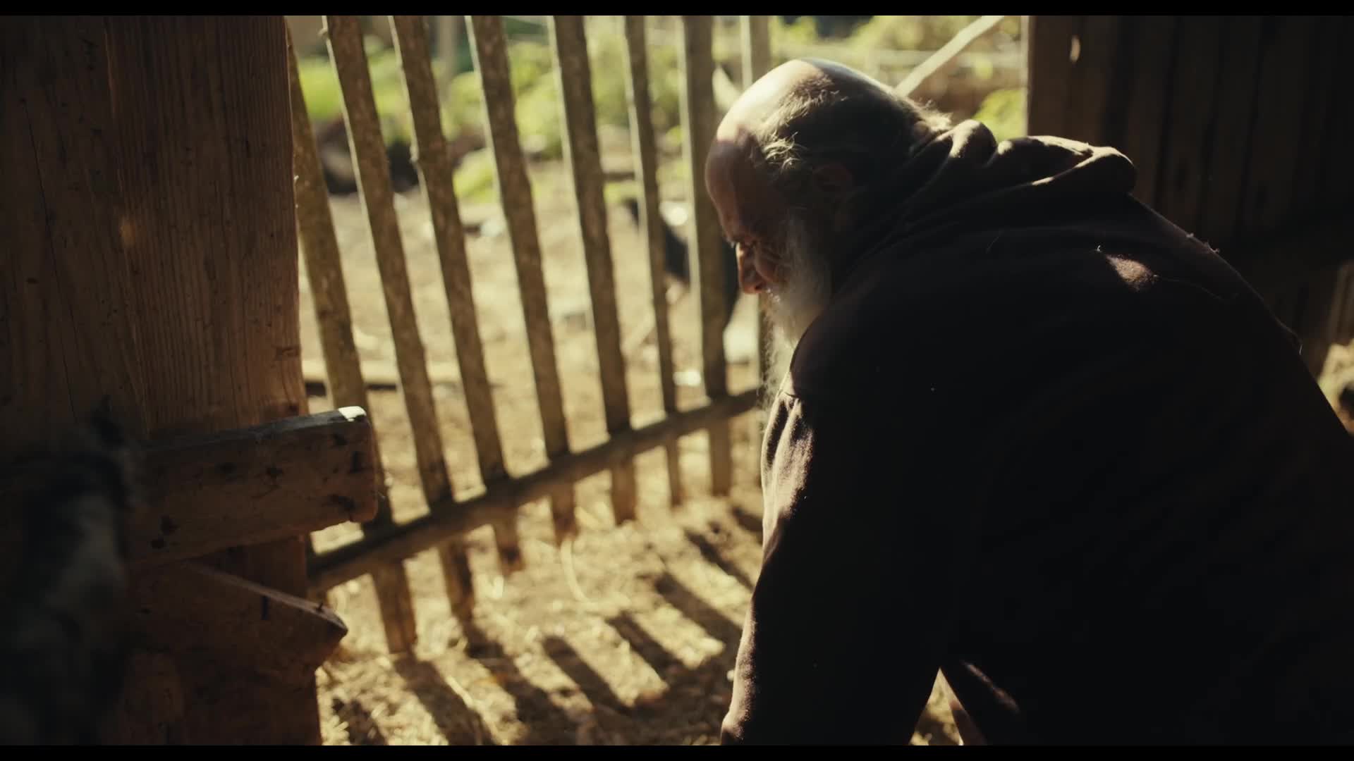 Raději zešílet v divočině (2025) CZ dokument HD mkv