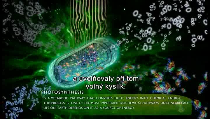 14 Spirulina, úžasná řasa arc avi