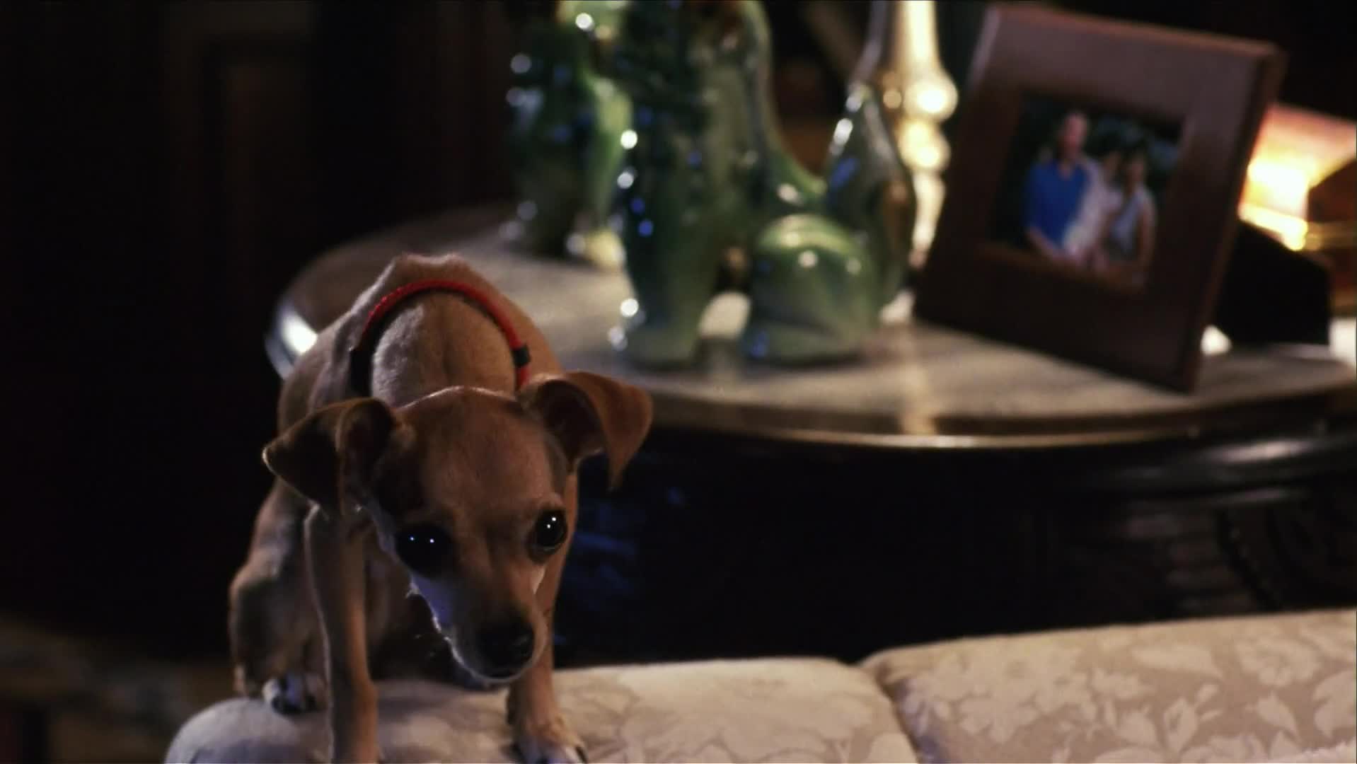 Ping! Esperto Pra Cachorro (2000) Dual Áudio 1080p WEBRip x264 MielTV.mkv