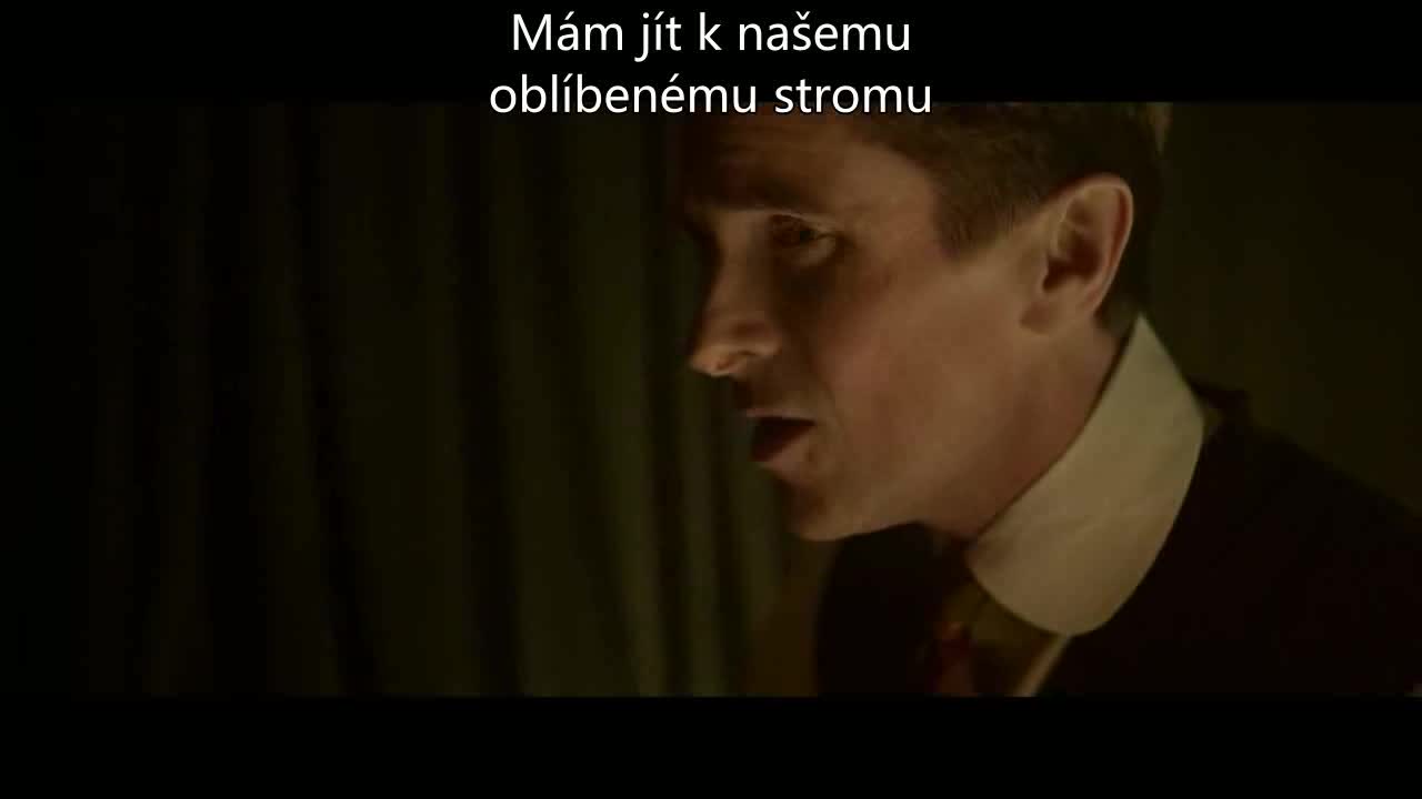 Amsterdam (Christian Bale,Margot Robbie,John David Washington 2022 Drama Komedie Krimi Historický Mysteriózní Bdrip 1080p ) Cz dabing avi