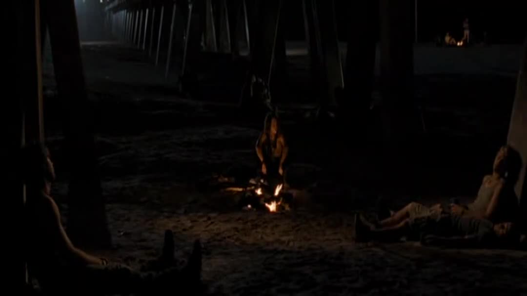 Poslední píseň (Miley Cyrus,Bobby Coleman,Greg Kinnear 2010 Drama Romantický Bdrip 1080p ) Cz dabing mkv