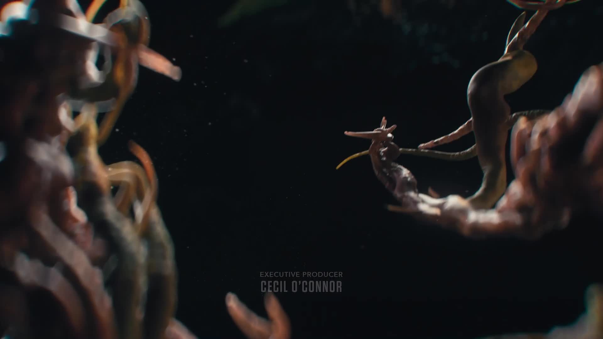 The Last of Us S02E04 {2025} sci fi, thriller AAC 5 1 1080p CZ dabing mkv