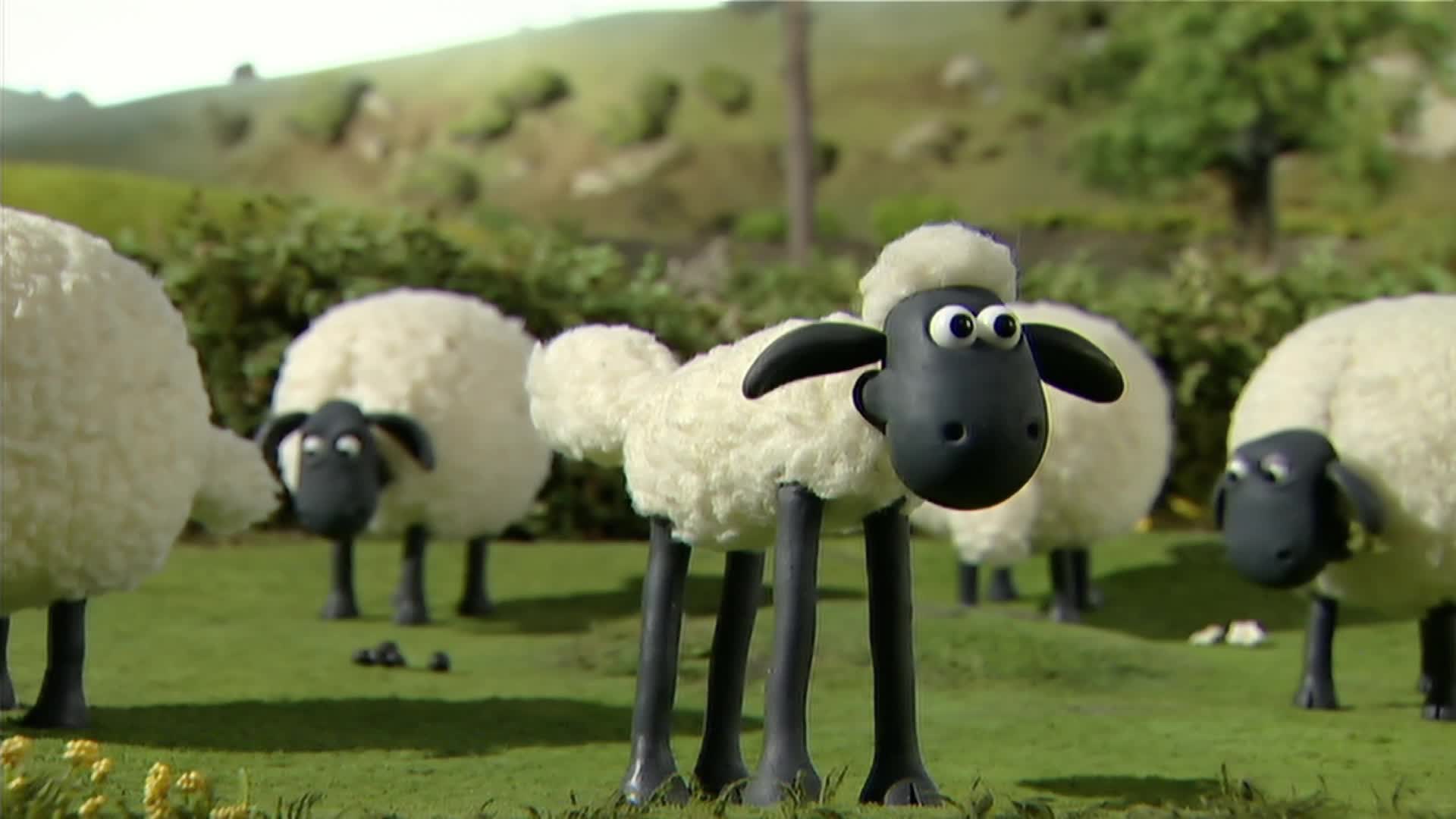 Ovecka Shaun S01E15 Shaun v razi [Shaun Shoots the Sheep] (en 1080p) mp4