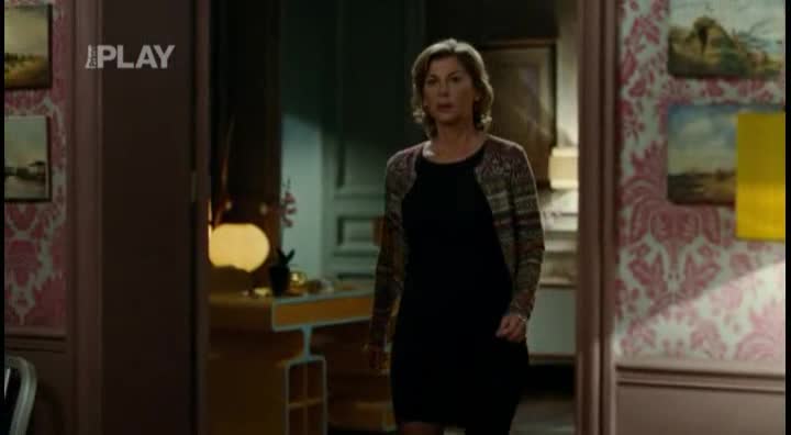 Fotr na inzerát (Michèle Laroque, Kad Merad, Vincent Perez 2011 Komedie Drama Bdrip 1080p ) Cz dabing avi