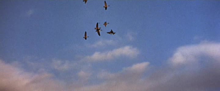 Cesta na západ =1967 West CZ avi