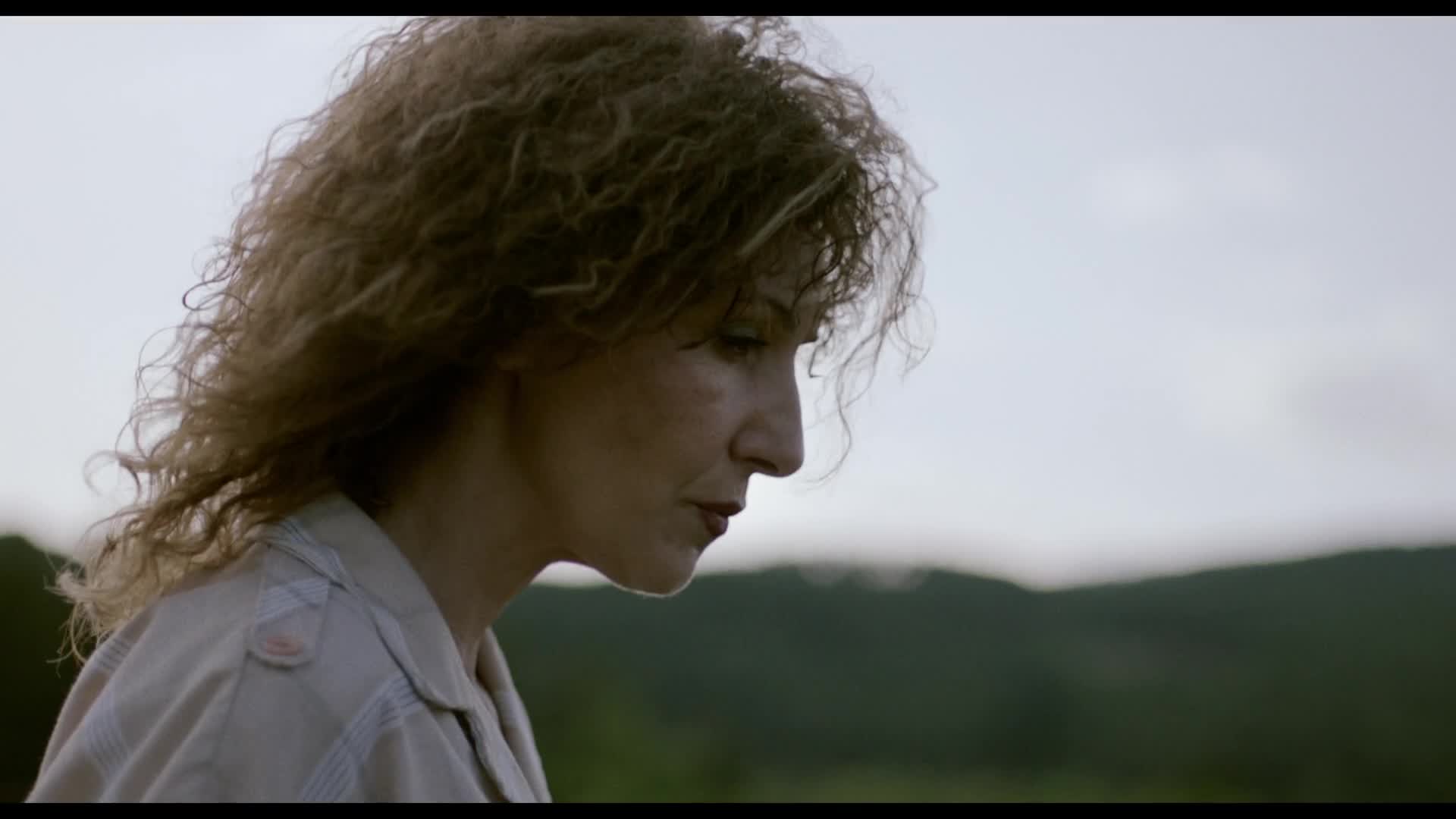 Triumf   Triumph 2024 CZ dabing HD 1080p mkv