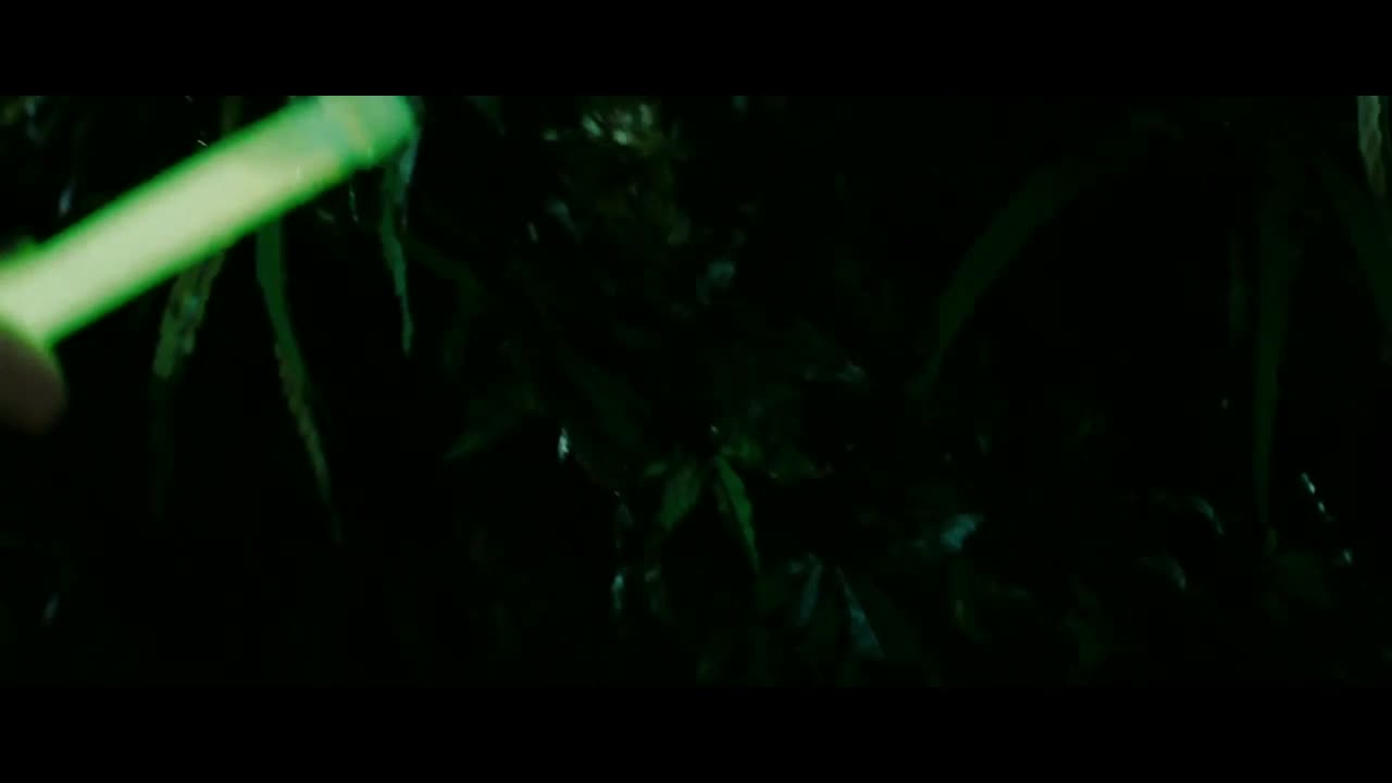 Pátek třináctého (Jared Padalecki, Danielle Panabaker, Amanda Righetti 2009 Horor Thriller Bdrip 1080p ) Cz dabing mp4