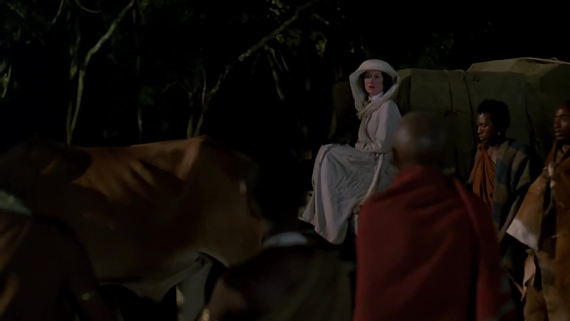 Vzpomínky na Afriku =1985 CZ avi