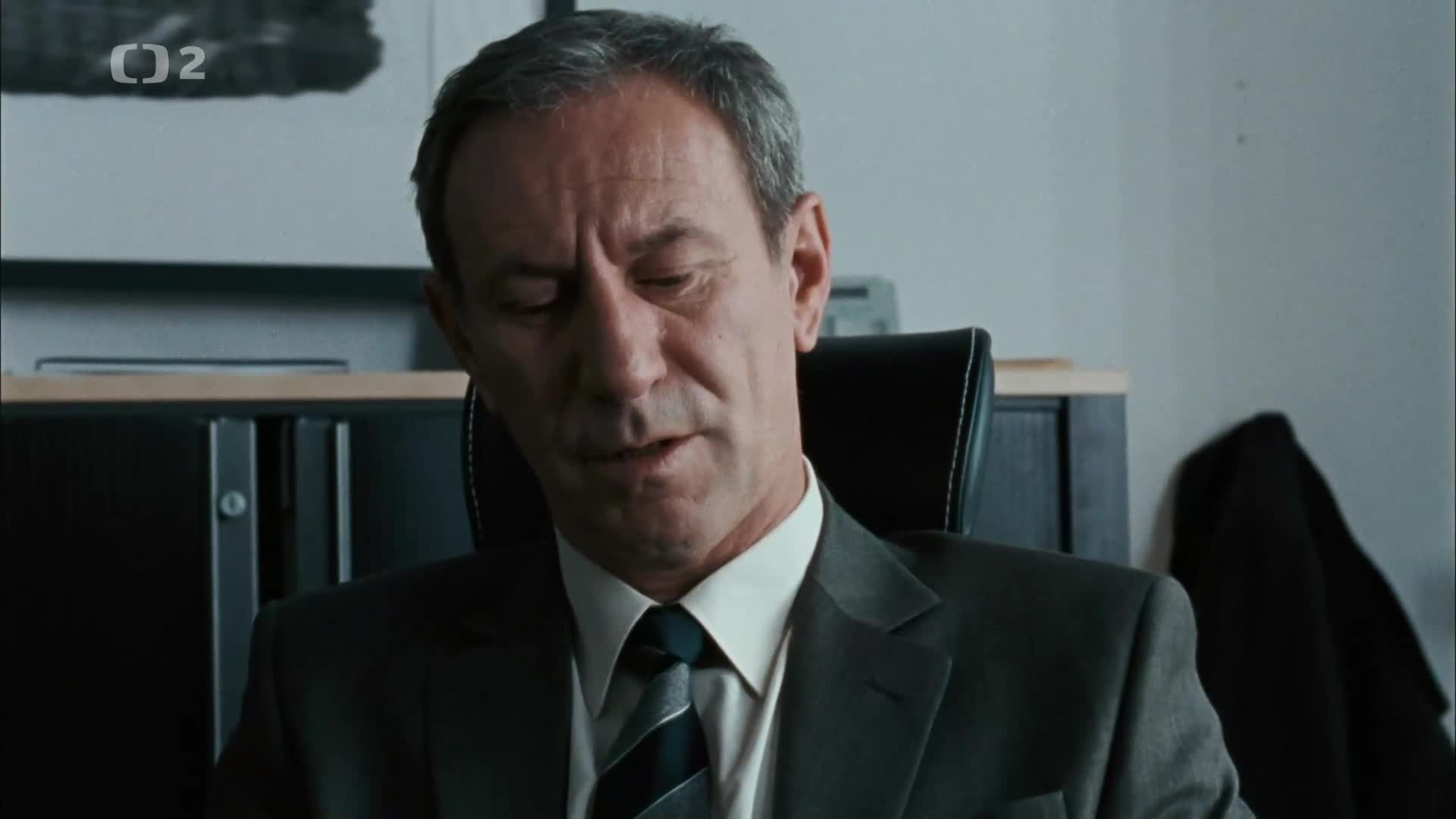 Milénium E02 Dívka, Která si hrála s ohněm {2009} akční, krimi, mysteriózní 1080p CZ dabing mkv