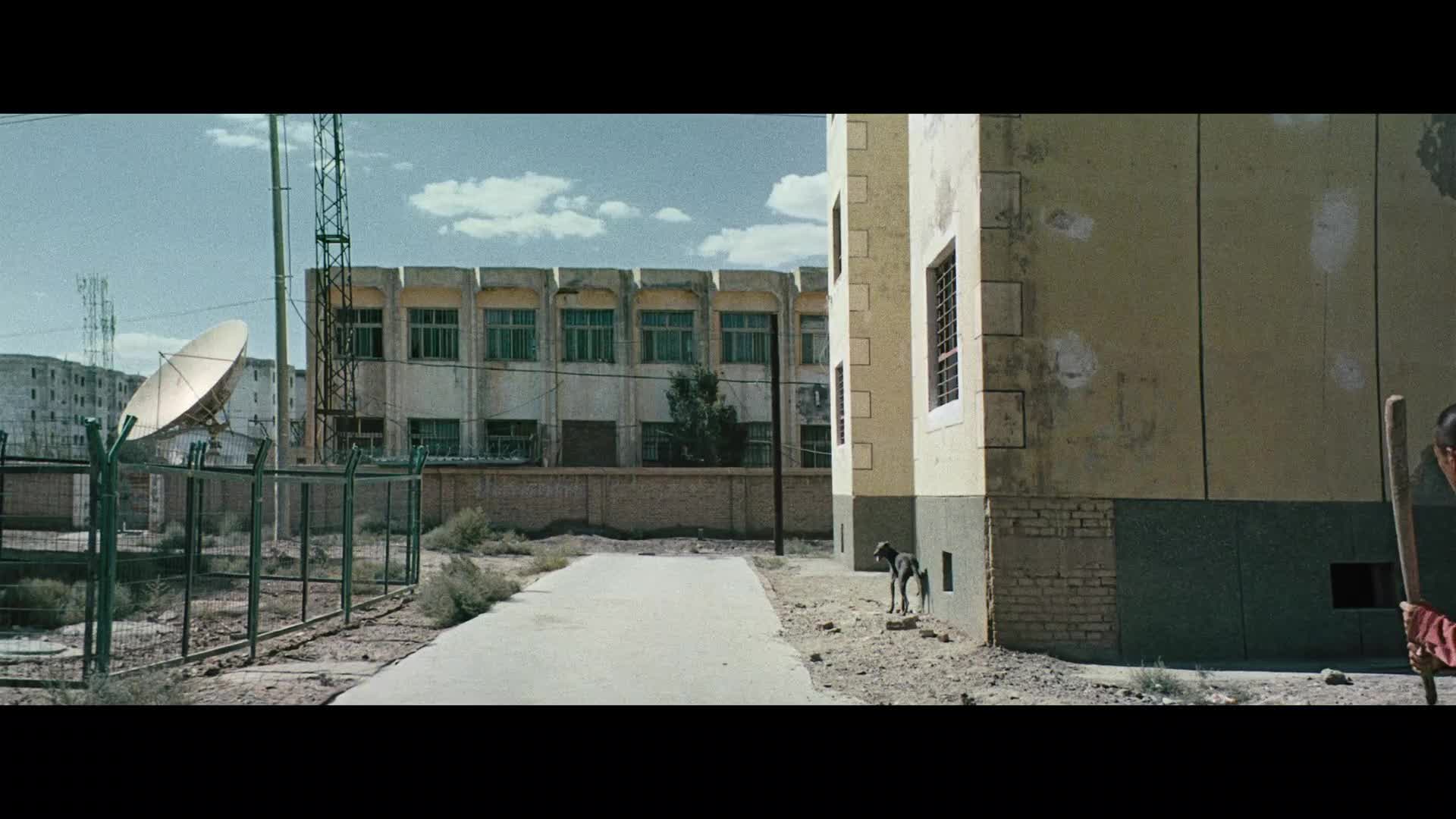 Černý pes 2024 CZ dab 1080p mkv