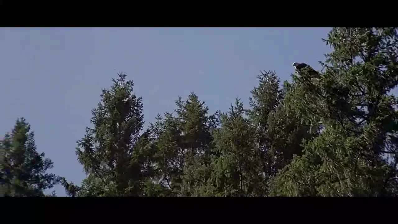 Divoká řeka =1994,, CZ avi