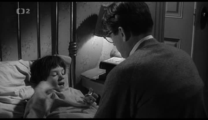 Jako zabít ptáčka 1962 CZ dab avi