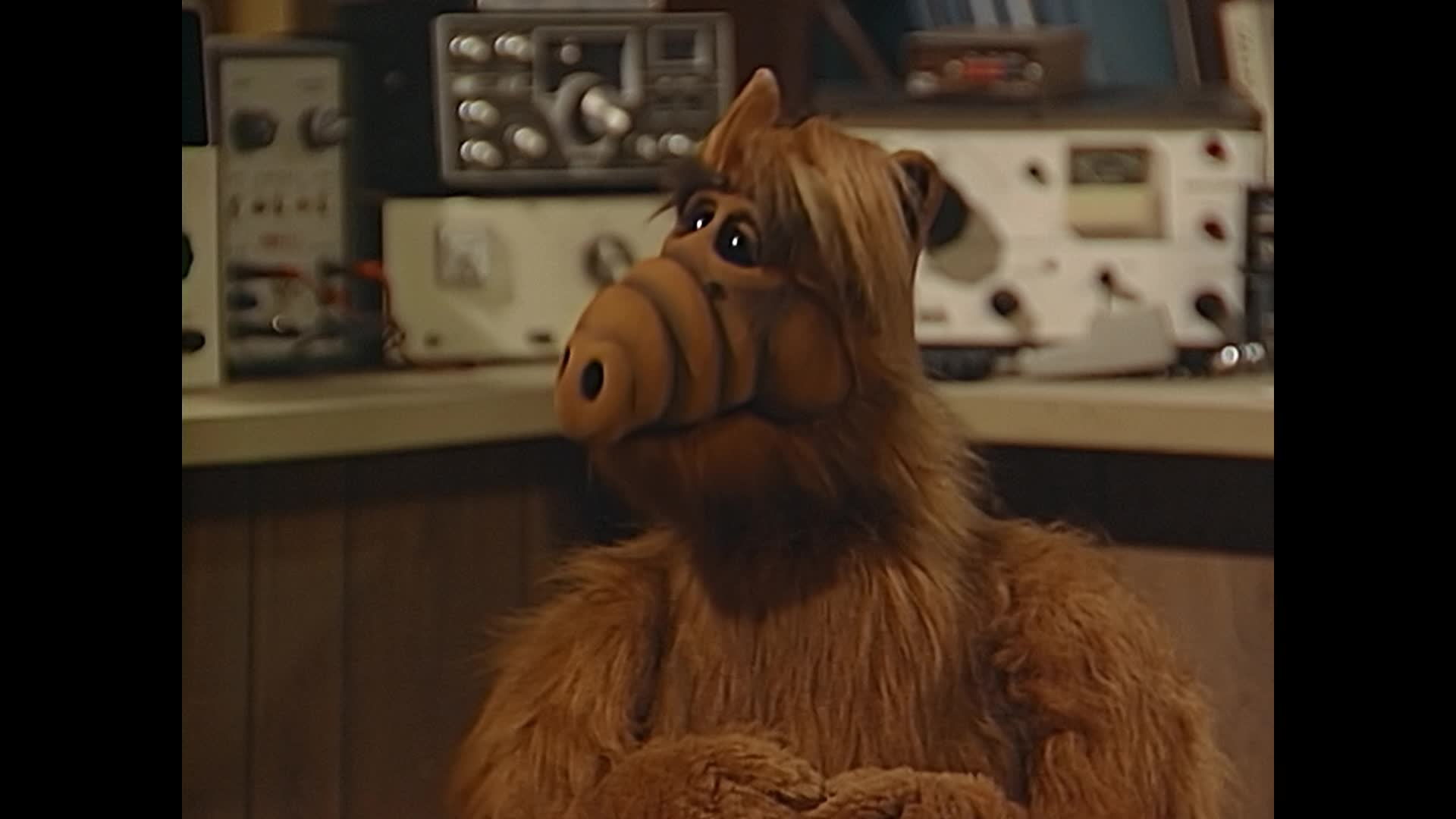 Alf (1987) S02E01 Majordomus mkv