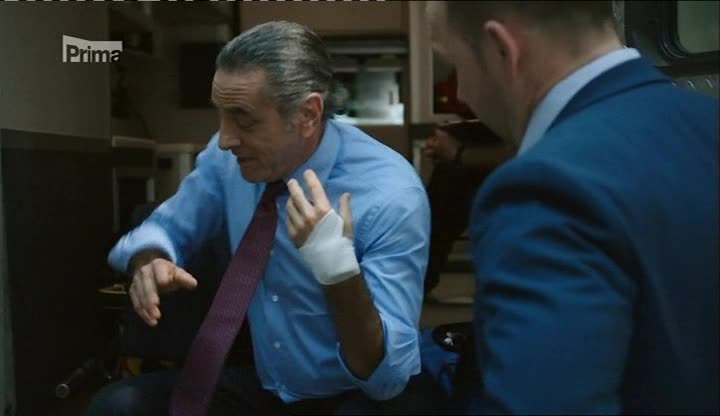 Spravedlnost v krvi (Blue Bloods) 09x05 Krev není voda avi