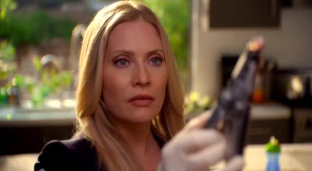 Kriminálka Miami 08x24 Všichni padnou avi