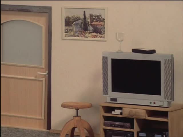 Pat a Mat 061 Bodygardi avi