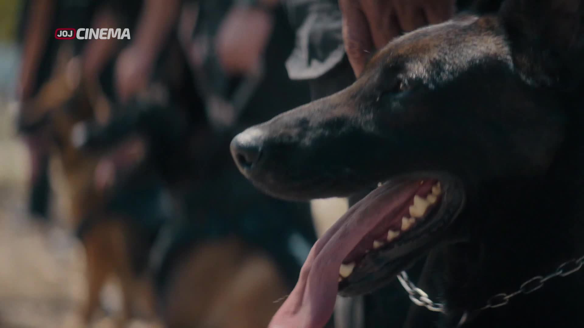 K9: Ocelový tesák   Město vlků 2025 CZ dabing HD 1080p mkv