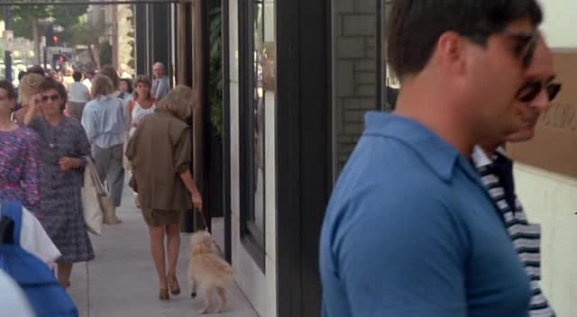 Somrák z Beverly Hills (Nick Nolte Bette Midler Richard Dreyfuss 1986 Komedie) Cz dabing avi