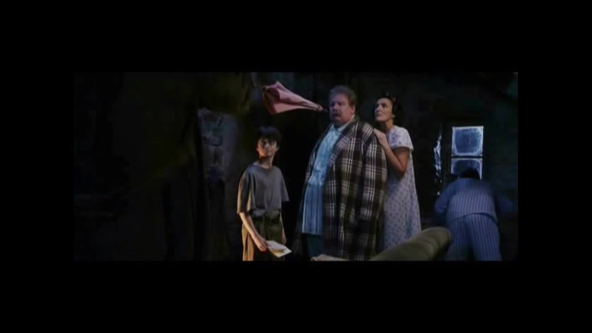 Harry Potter a Tajemství Zvětšovacích Slipů mp4