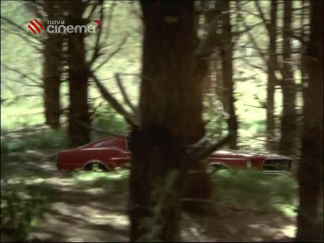 Krvavý zločin =2002 CZ avi