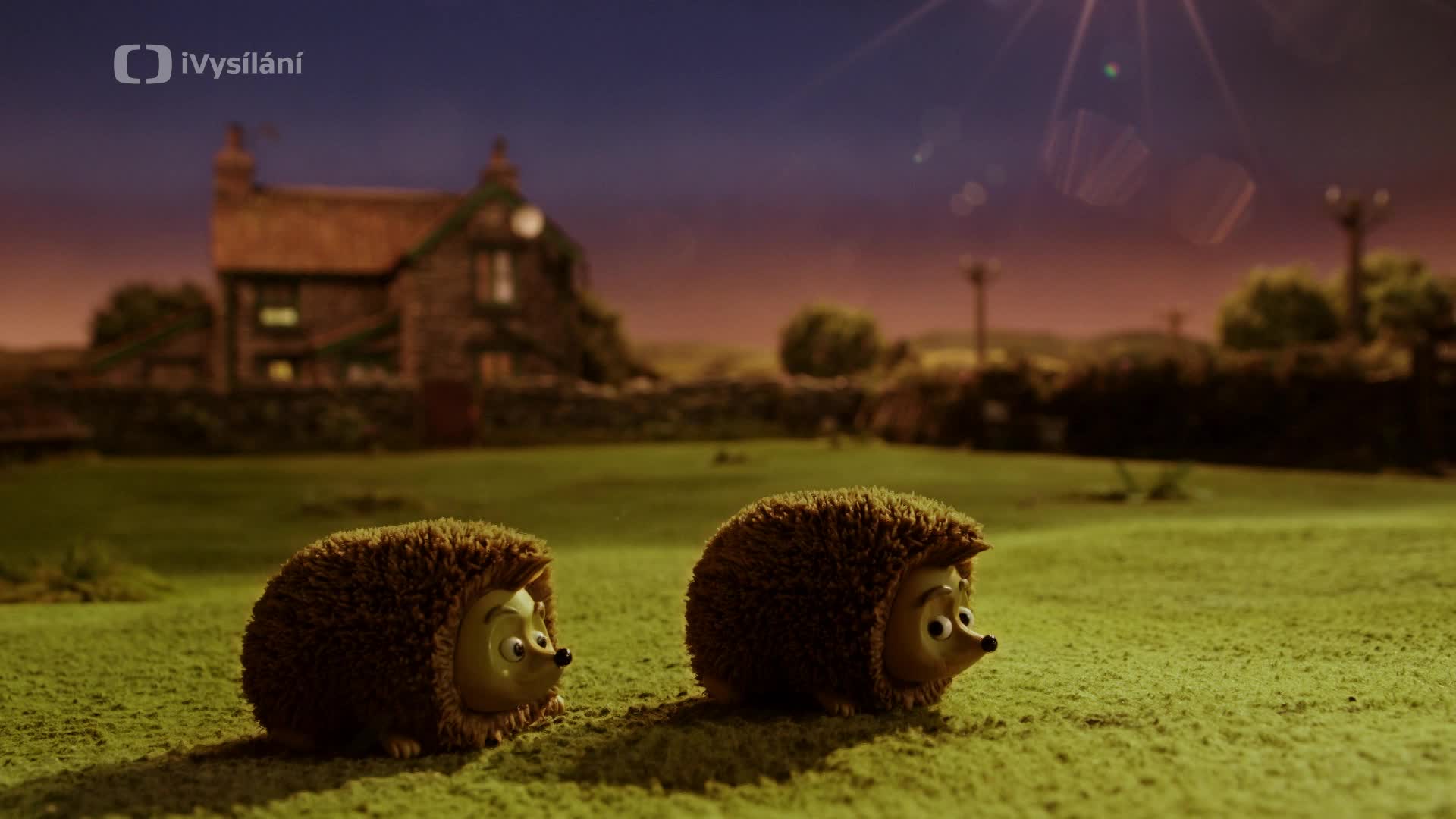 Ovecka Shaun S05E12 Kam ulozit jezky [A Prickly Problem] (cz en 1080p) mkv