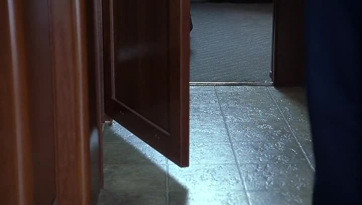 Jeho fotr,to je lotr! (Robert De Niro,Ben Stiller,Dustin Hoffman,Barbra Streisand 2004 Komedie Romantický Bdrip 1080p ) Cz dabing avi
