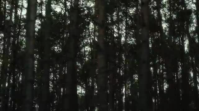 Rytmus PRI SEBE (prod Maxo Sramek) Official Video mp4
