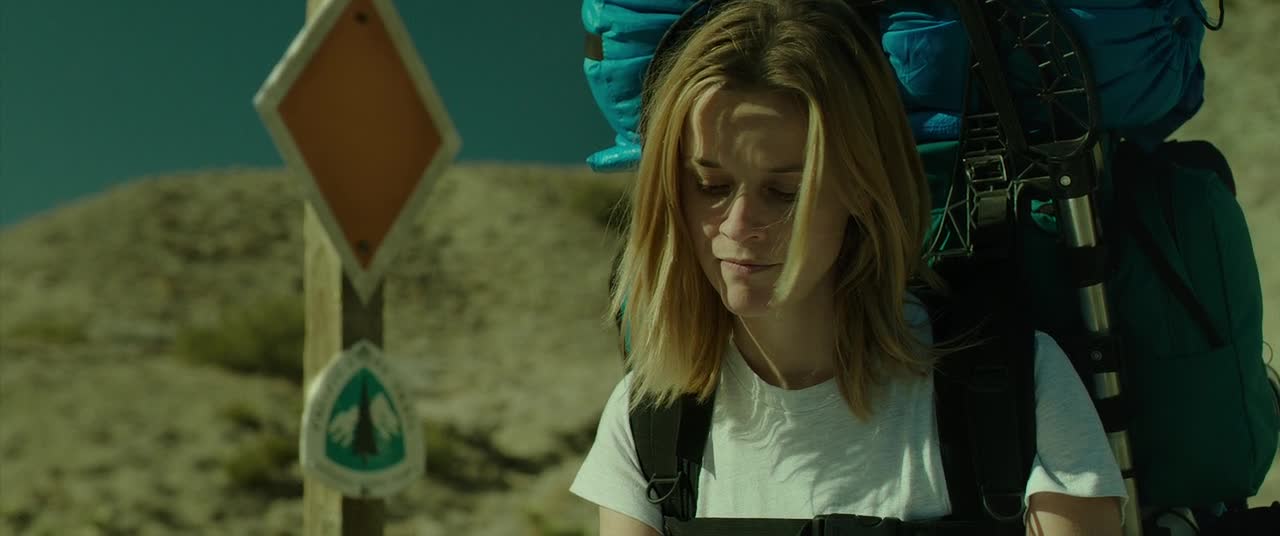 Divočina (Reese Witherspoon, Laura Dern, Thomas Sadoski 2014 Životopisný Drama Dobrodružný Bdrip 1080p ) Cz dabing avi