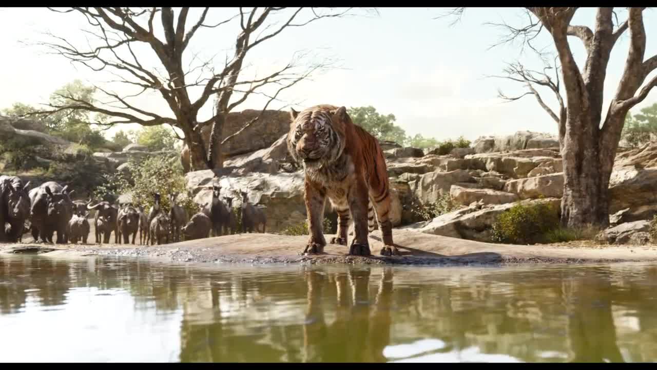 Kniha džunglí (Neel Sethi, Bill Murray, Ben Kingsley, Idris Elba 2016 Dobrodružný Drama Rodinný Fantasy Bdrip 1080p ) Cz dabing avi