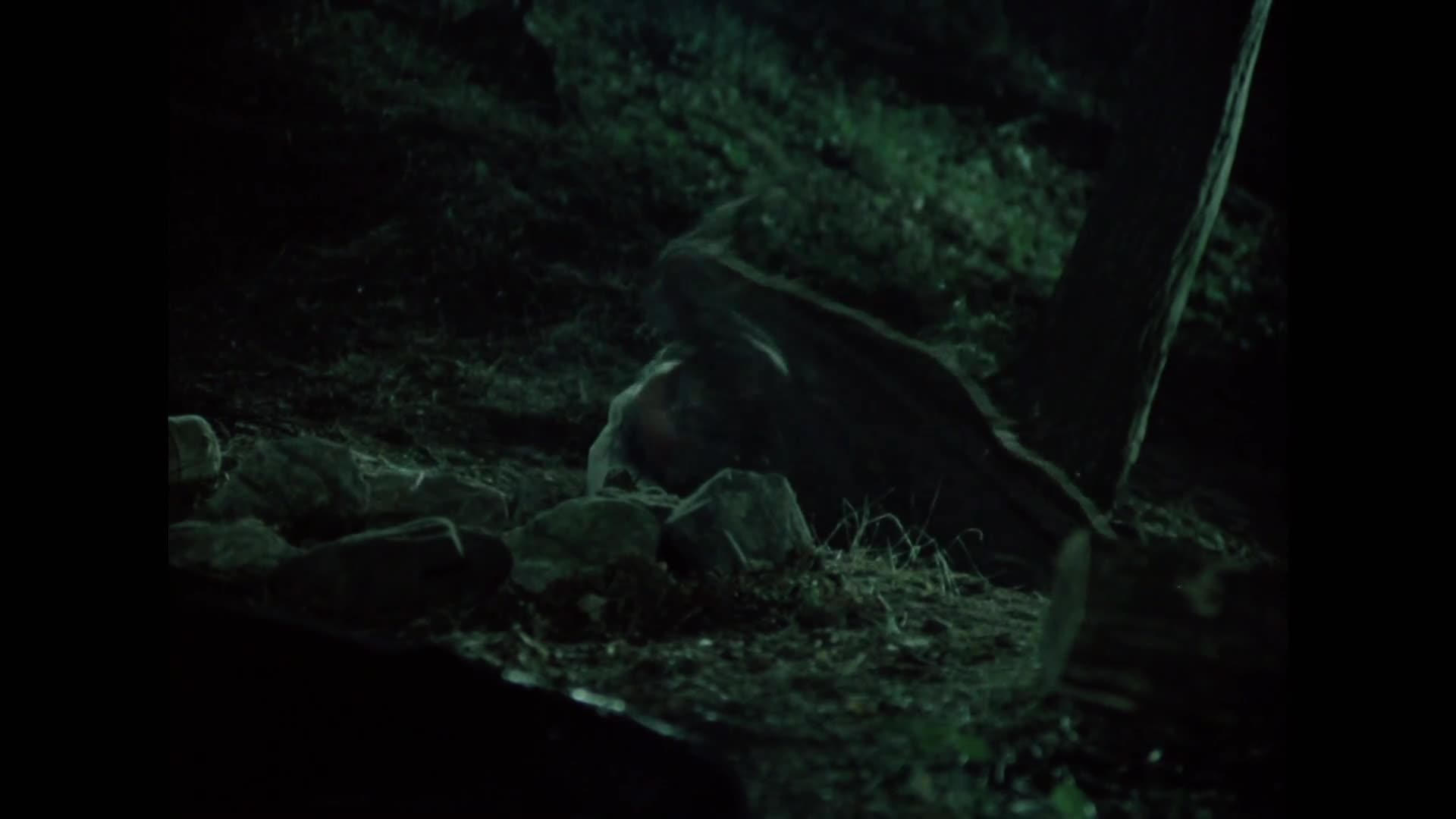 Tři veteráni {1983} pohádka, komedie, fantasy 1080p mkv