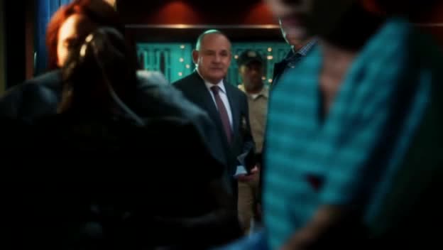 Kriminálka Las Vegas S14E03 22 2013 CZ dab 360p Plamenná píseň avi