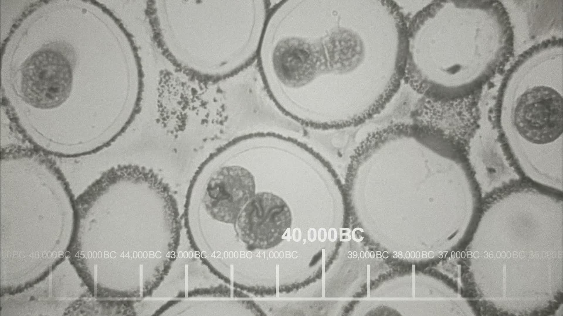 Teorie velkého třesku S04E13 24 2010 CZ dab 1080p Obstrukce v autě lásky mkv