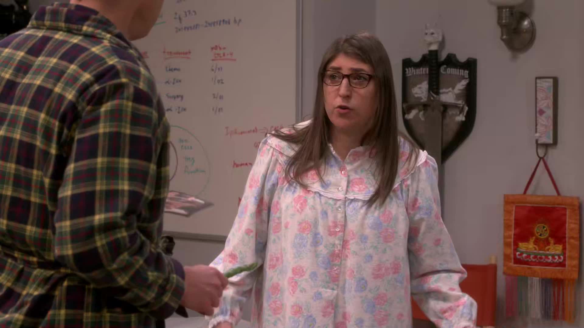 Teorie velkého třesku S12E10 24 2018 CZ dab 1080p VHS reminiscence mkv